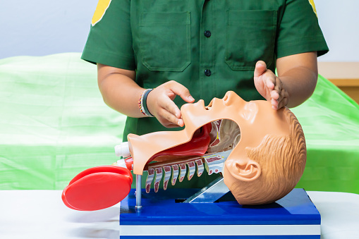 hand training with head medical dummy on CPR, in emergency refresher to assist of physician